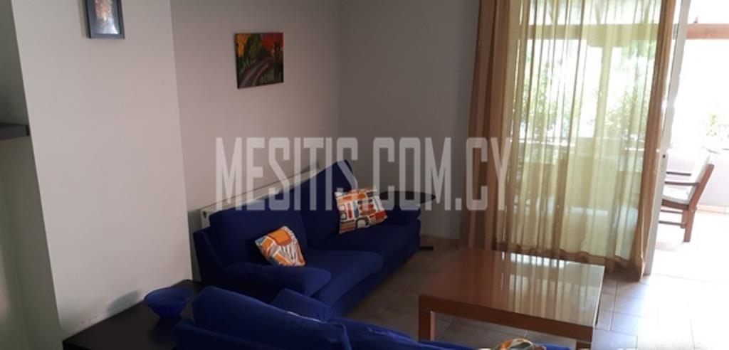 2 Bedroom House For Rent In Pallouriotissa In Nicosia #3877-5