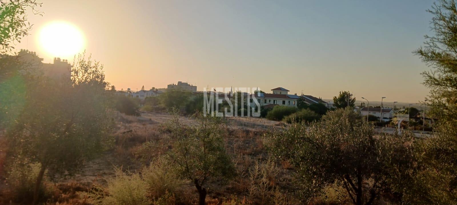 Large 3 Bedroom House For Sale In Platy Aglantzias, Nicosia - Adjacent To Forest Government Land At The Back And Facing A Park #28020-30