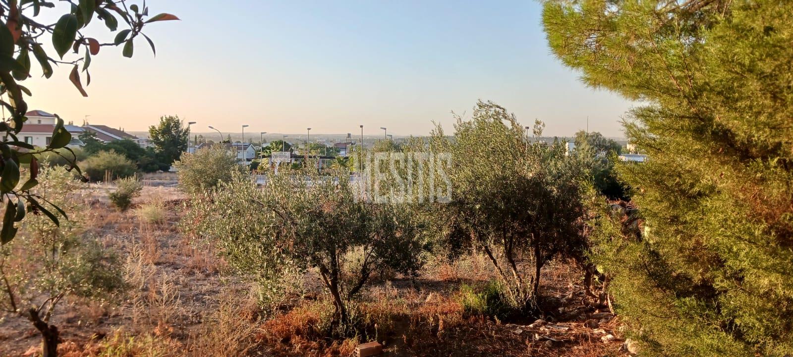 Large 3 Bedroom House For Sale In Platy Aglantzias, Nicosia - Adjacent To Forest Government Land At The Back And Facing A Park #28020-1