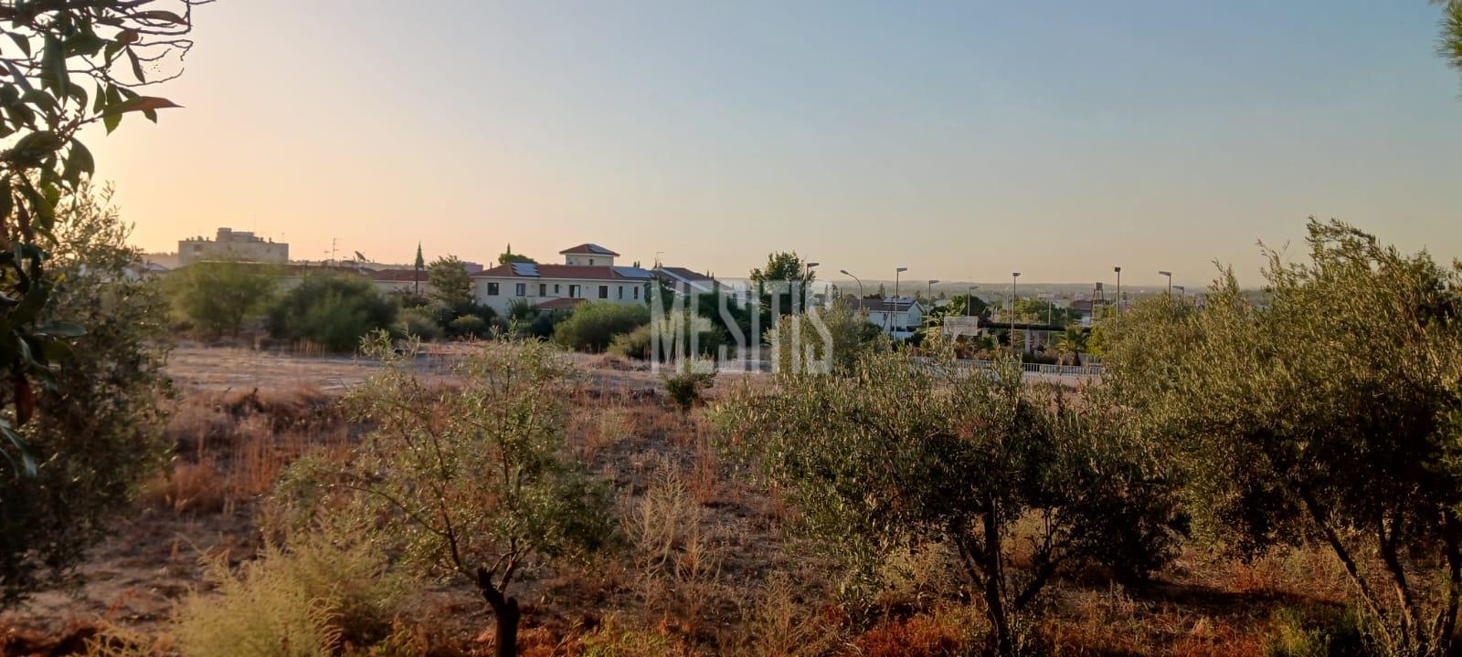 Large 3 Bedroom House For Sale In Platy Aglantzias, Nicosia - Adjacent To Forest Government Land At The Back And Facing A Park #28020-31