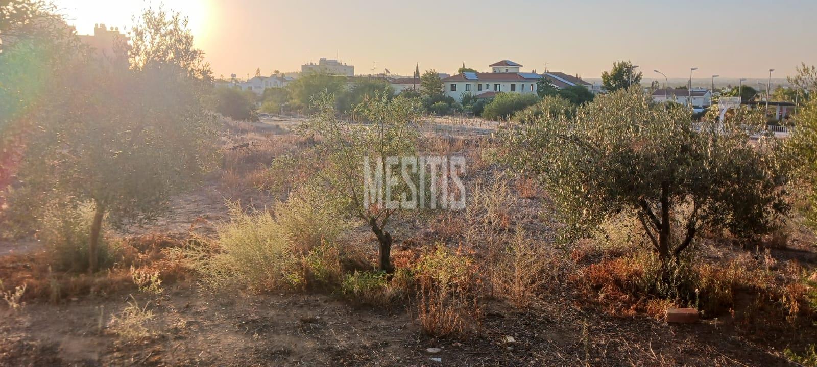 Large 3 Bedroom House For Sale In Platy Aglantzias, Nicosia - Adjacent To Forest Government Land At The Back And Facing A Park #28020-0