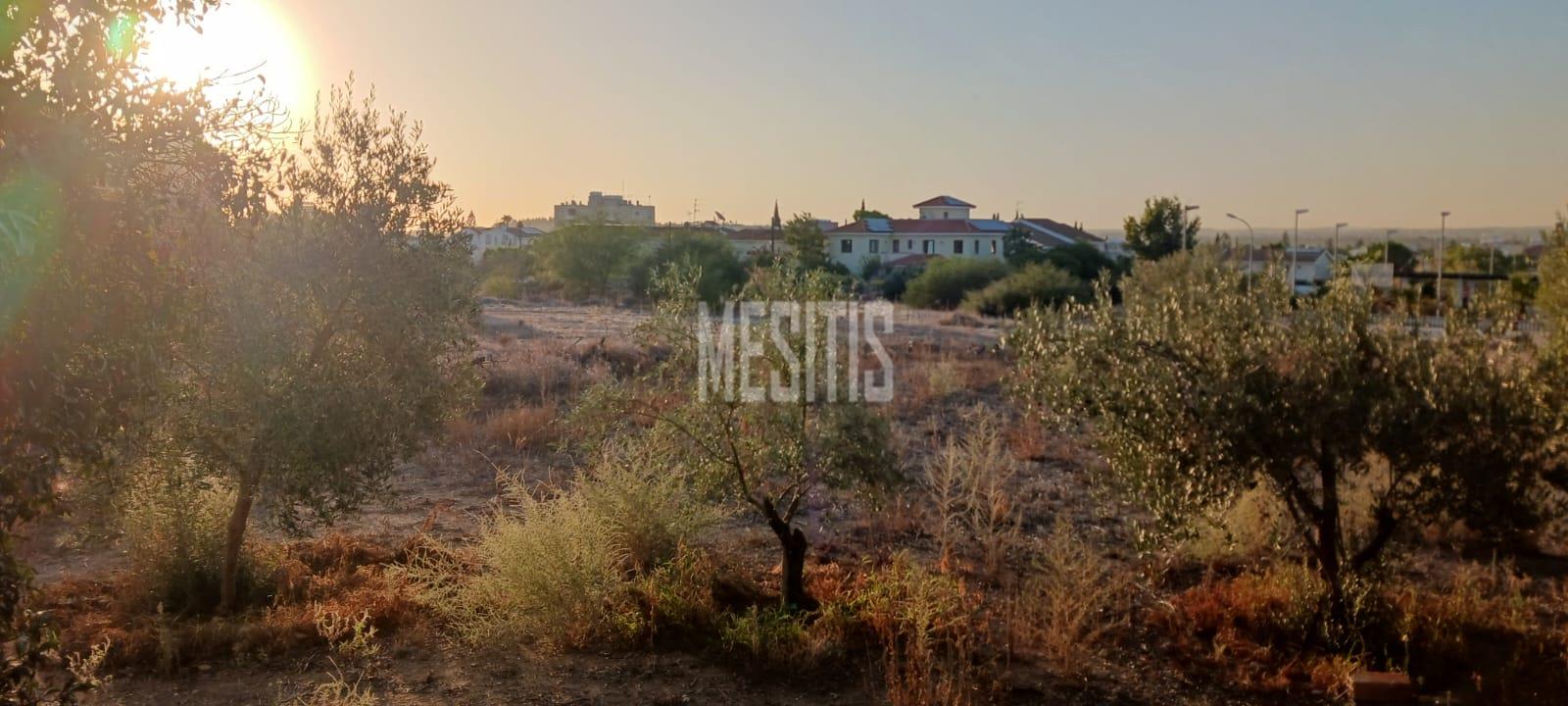 Large 3 Bedroom House For Sale In Platy Aglantzias, Nicosia - Adjacent To Forest Government Land At The Back And Facing A Park #28020-32