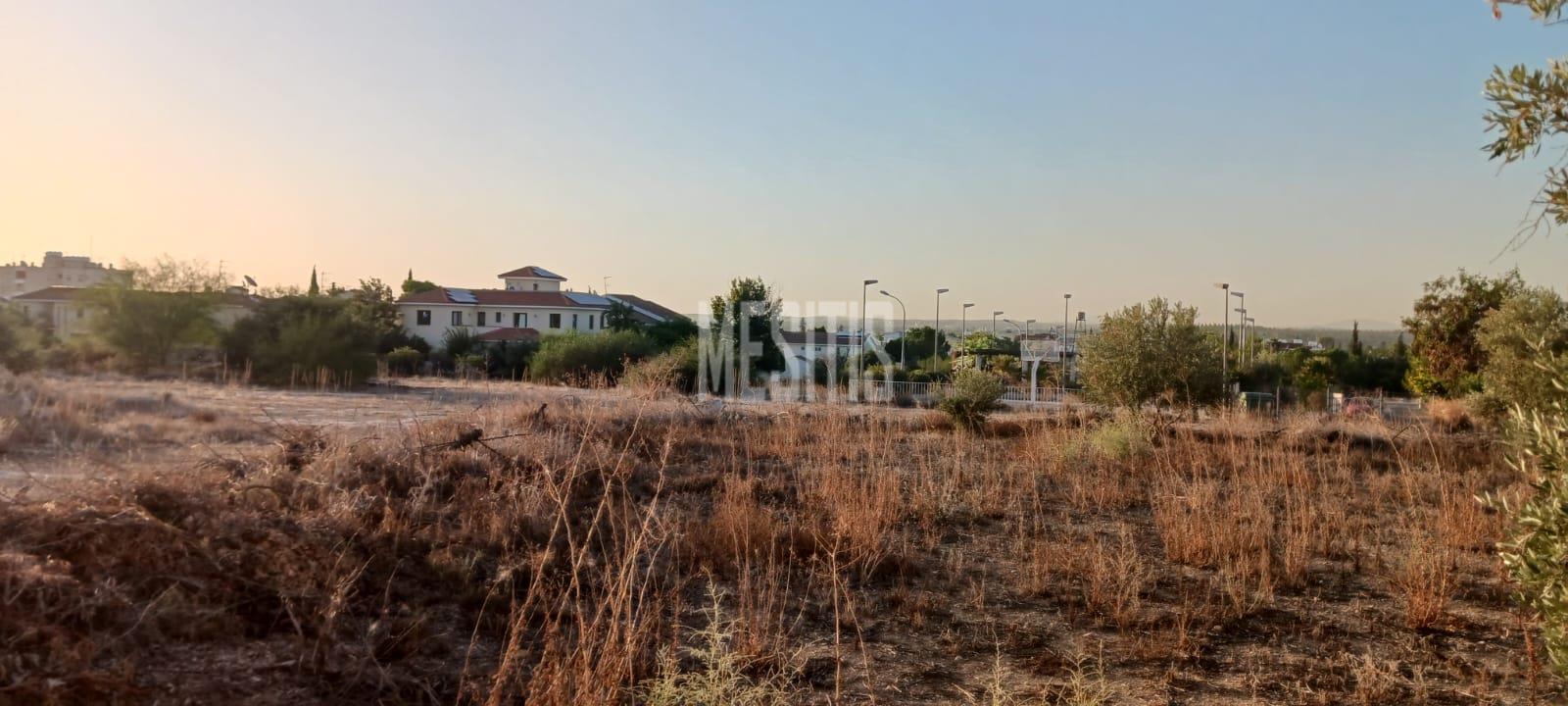 Large 3 Bedroom House For Sale In Platy Aglantzias, Nicosia - Adjacent To Forest Government Land At The Back And Facing A Park #28020-35