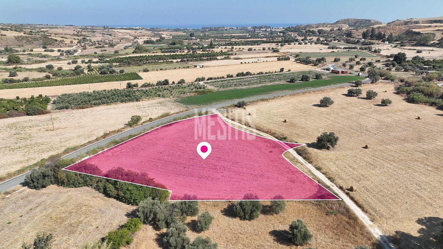 Residential field in Chrysochou, Paphos #28797-2