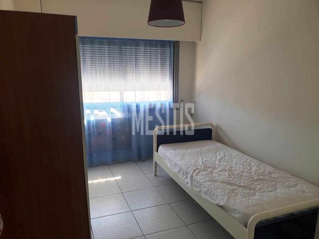 3 Bedroom Apartment For Rent In Strovolos, Lefkosia #14841-2