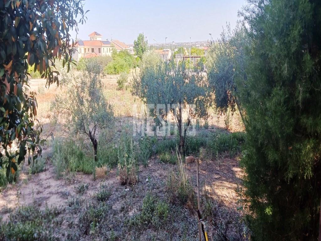 Large 3 Bedroom House For Sale In Platy Aglantzias, Nicosia - Adjacent To Forest Government Land At The Back And Facing A Park #28020-18