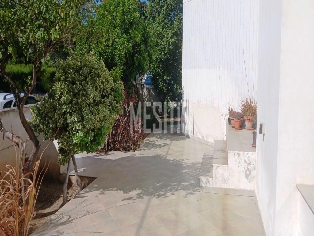 Large 3 Bedroom House For Sale In Platy Aglantzias, Nicosia - Adjacent To Forest Government Land At The Back And Facing A Park #28020-24