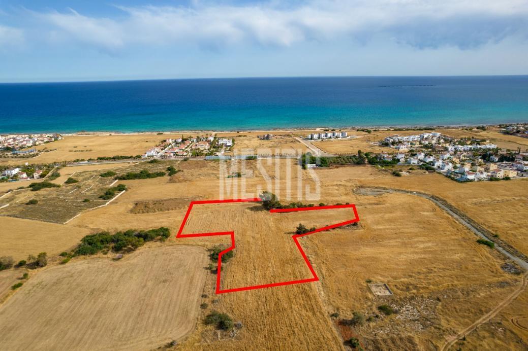 Field in Sotira (Agia Thekla), Famagusta #19407-0