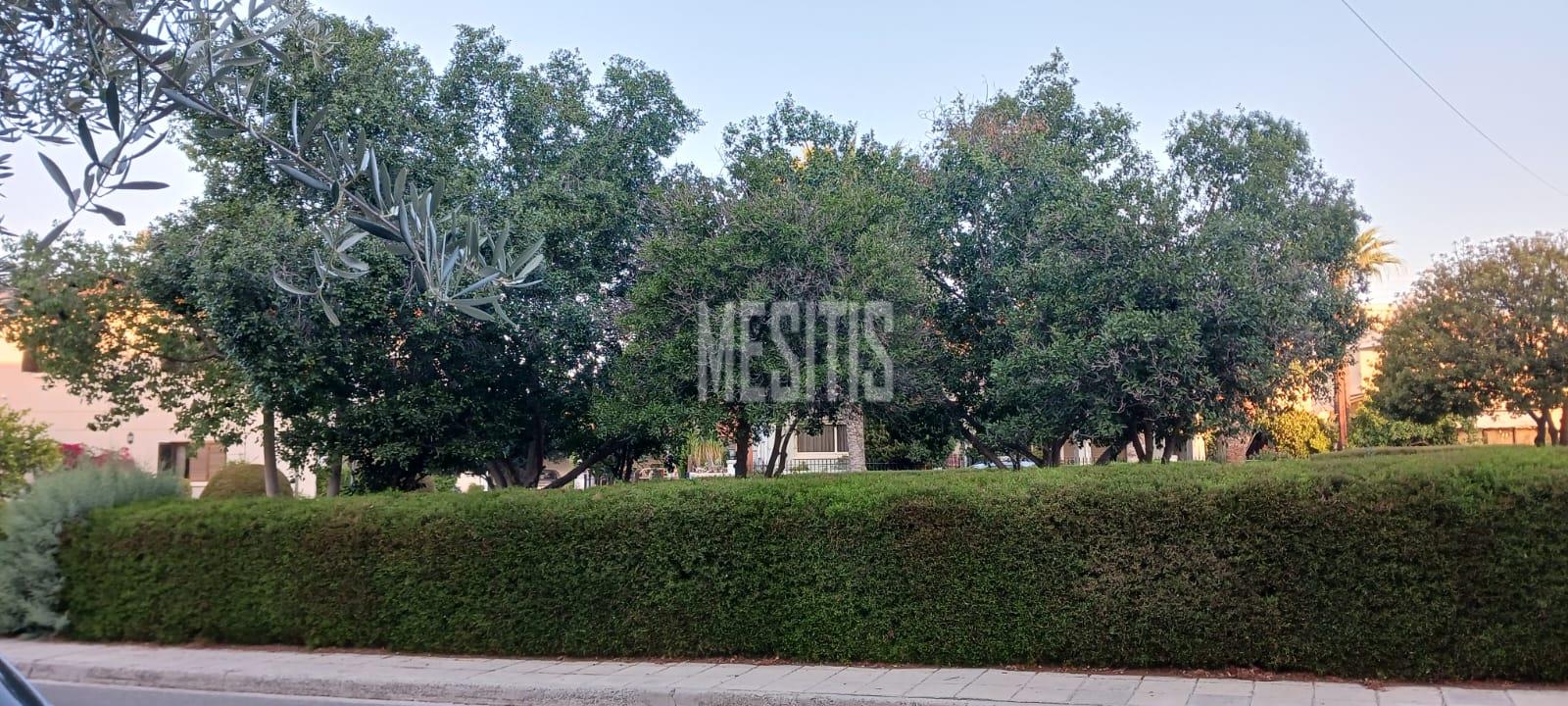 Large 3 Bedroom House For Sale In Platy Aglantzias, Nicosia - Adjacent To Forest Government Land At The Back And Facing A Park #28020-25