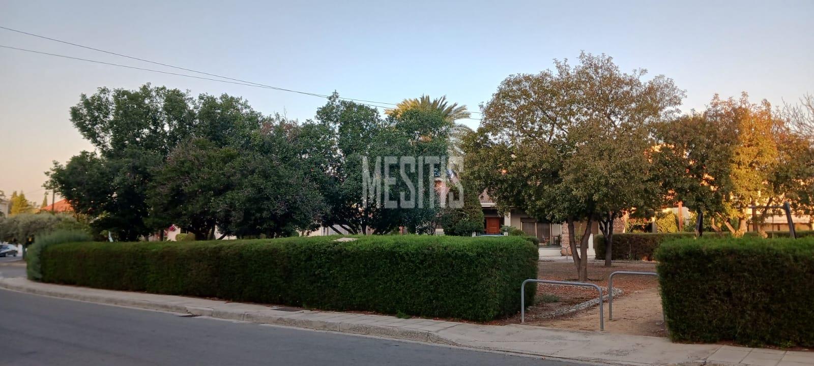 Large 3 Bedroom House For Sale In Platy Aglantzias, Nicosia - Adjacent To Forest Government Land At The Back And Facing A Park #28020-2