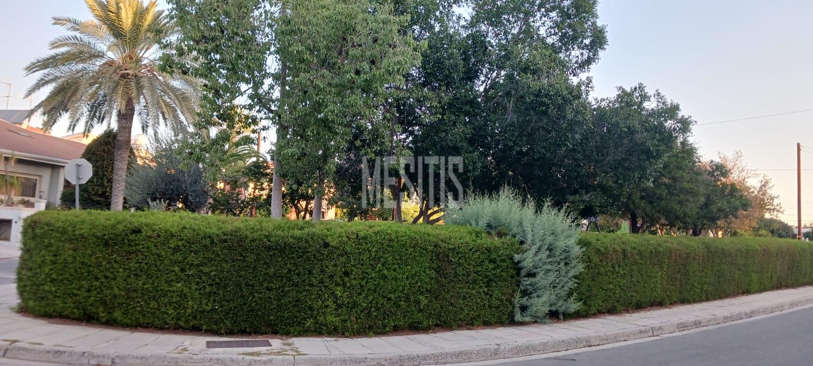 Large 3 Bedroom House For Sale In Platy Aglantzias, Nicosia - Adjacent To Forest Government Land At The Back And Facing A Park #28020-29